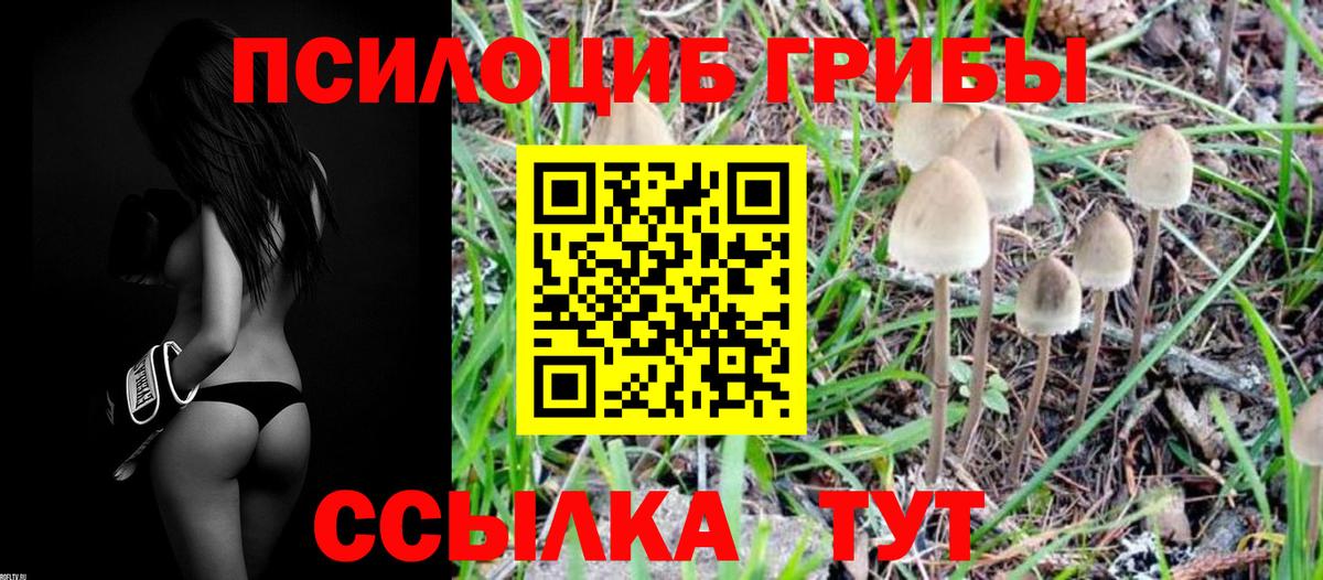 Псилоцибиновые грибы мицелий  Вход с VPN  Чистополь 